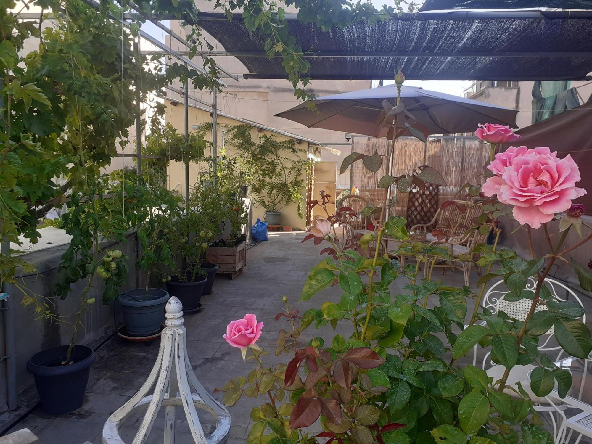 Apartament 17 Flats And Roof Garden Ateny Zewnętrze zdjęcie